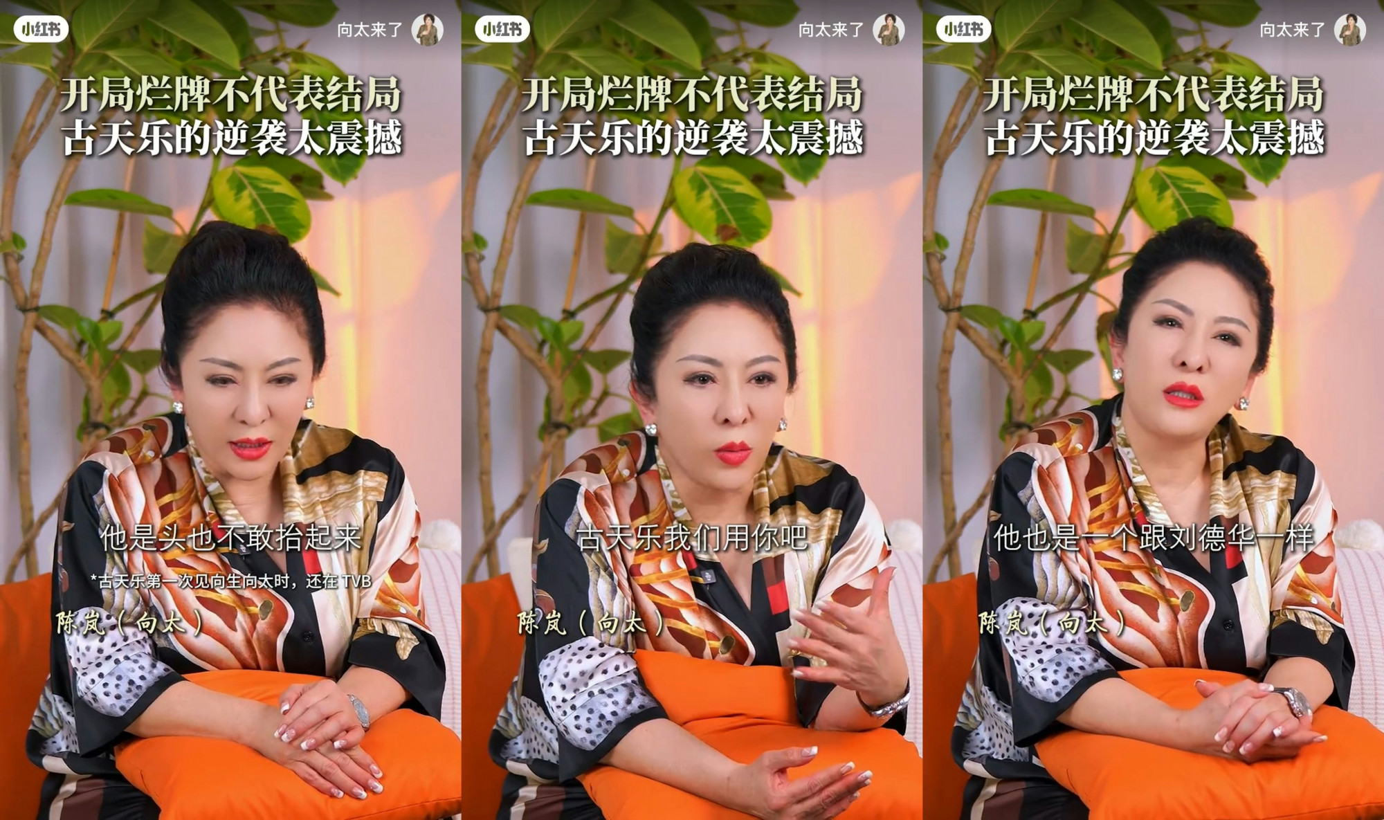忆初见古天乐“连头都不敢抬” 向太赞赏:成名后不忘行善力挺影圈配图