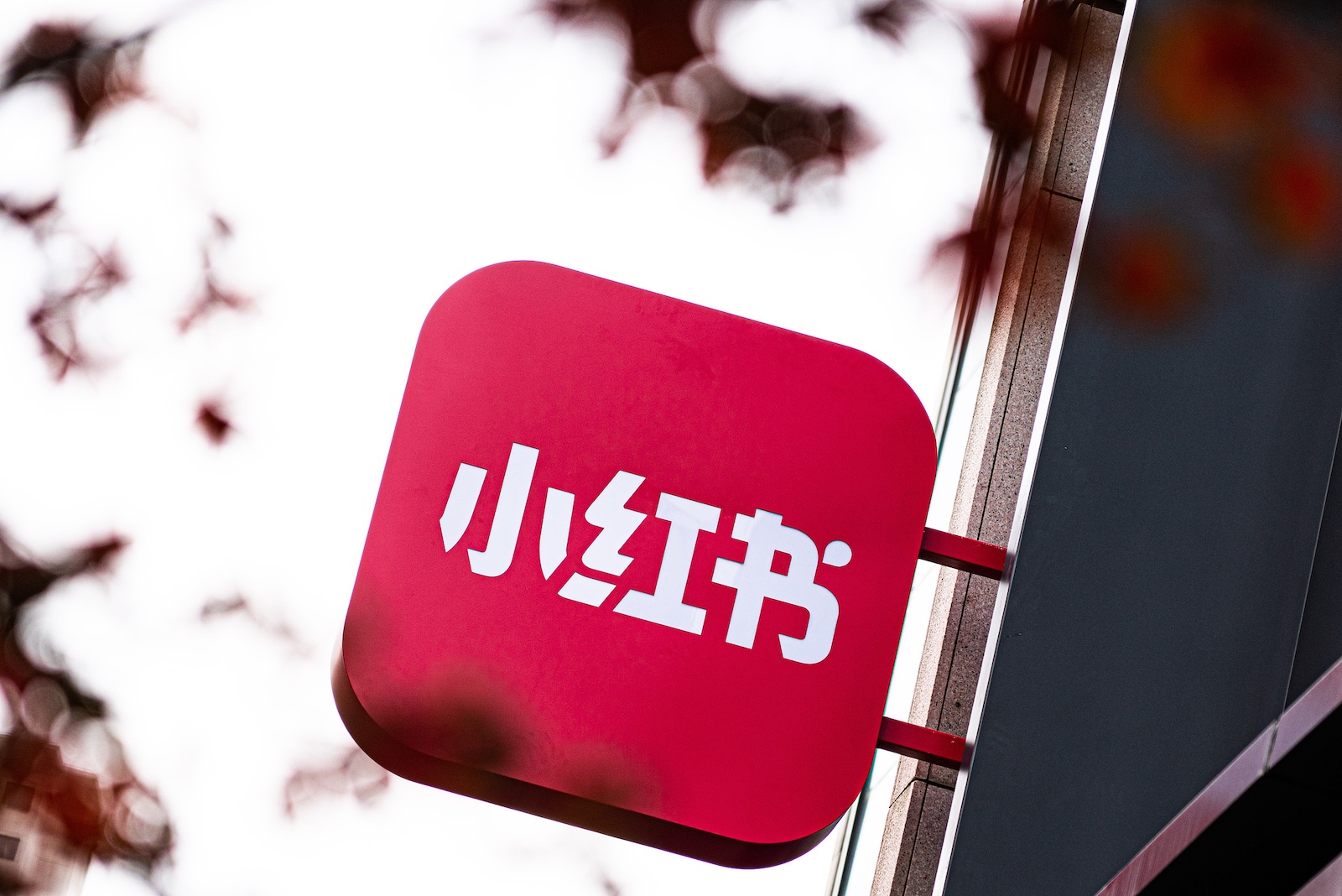 小红书拟本月在港提交IPO 规模近年最大配图
