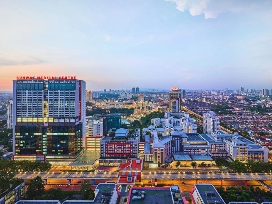持股率被冲淡至5%以下 双威医疗新加坡大股东变小股东配图