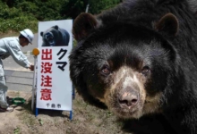 印度GDP未能超越日本 遭英国反超排名降至第六配图