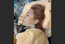 大病初愈约见编曲人 温岚疑筹备复出配图