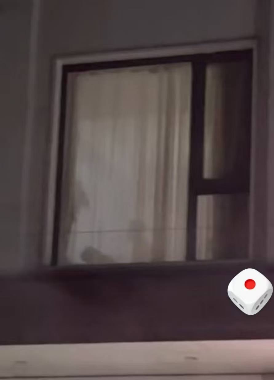 热议｜小情侣上演激情皮影戏引发讨论，时间线与后续进展梳理配图 2