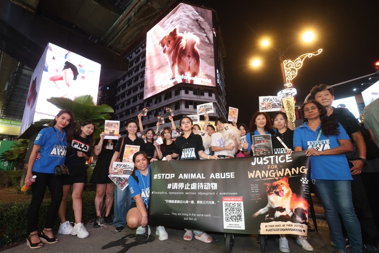 武吉免登巨屏为“旺旺”一家发声 李元玲冀望艺人站出来关注配图