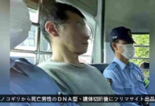 日本业界团体负责人 欢迎比亚迪进军微型车市场配图