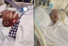 杨明庄思明马来西亚婚宴 AI重现亡父祝福配图