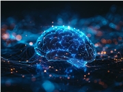 一个人撑起百万美元年收入:AI 正在催生"独行创业者"黄金时代配图