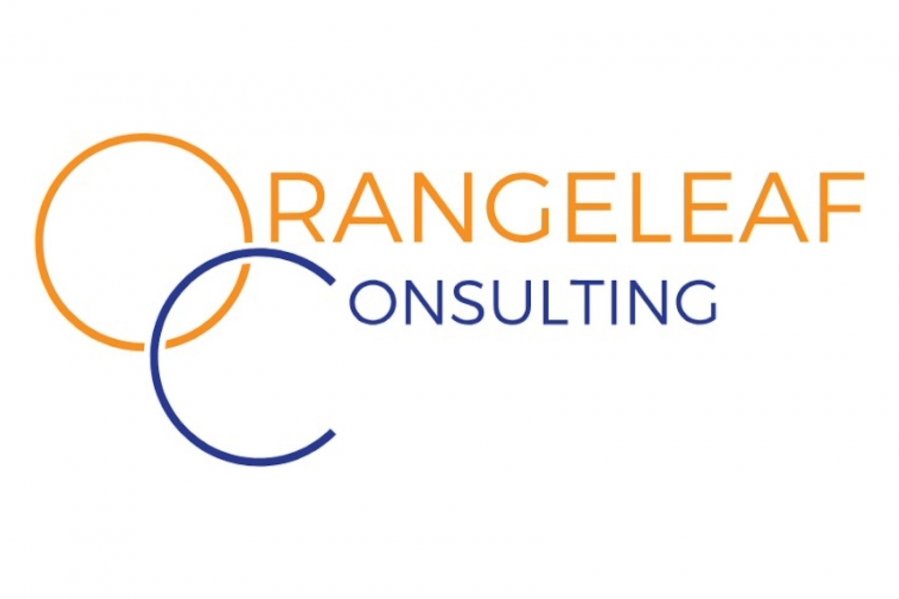 日本茂晶入股Orangeleaf 开辟全球数码化转型新版图配图