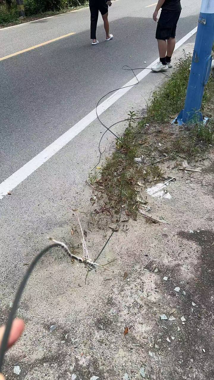 热议｜卧槽 电线幸亏粗一点 要是铁丝 头都掉下来配图 3