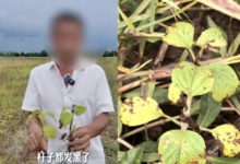 宇树科技IPO申购启动 中签率万分之2配图